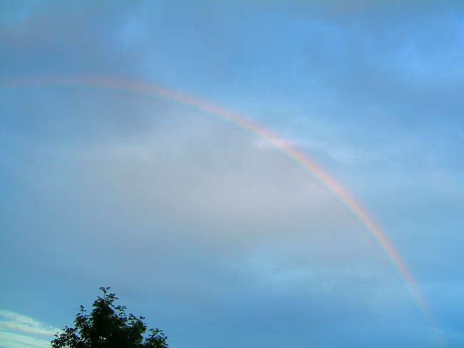 rainbow0723.jpg