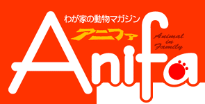 Anifa_title.gif