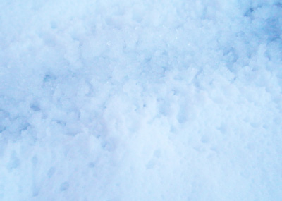 Snow0215-2.jpg